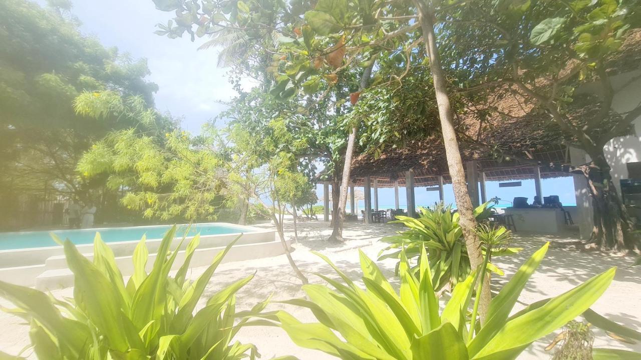Garden Beach Bungalows Jambiani Джамбиани Экстерьер фото